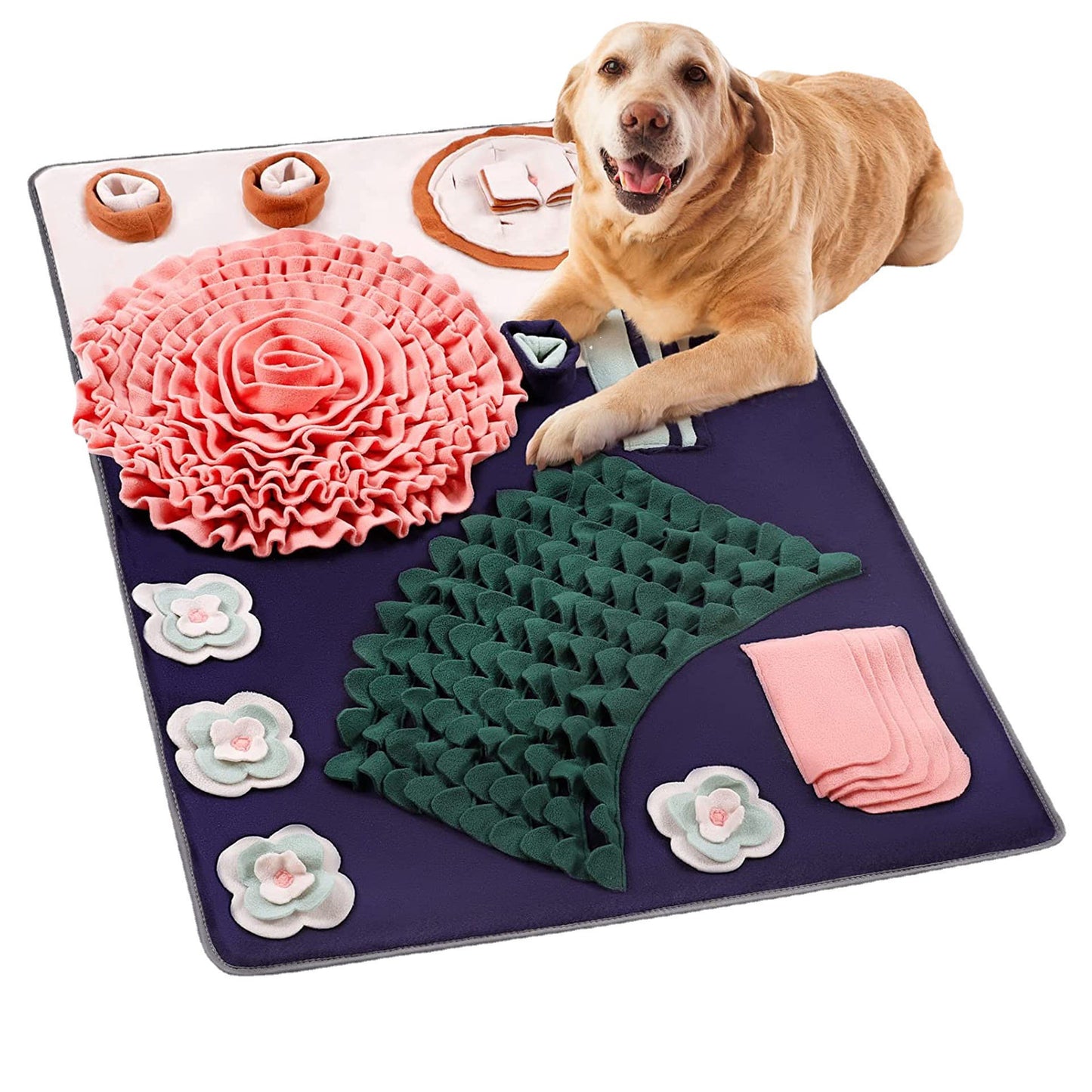Pet Training Sniffing Mat