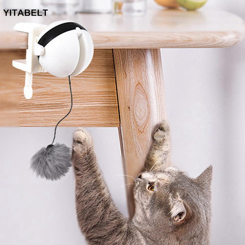 Funny Cat Electric Yo-Yo Lifting Ball Interactive Educational Toy