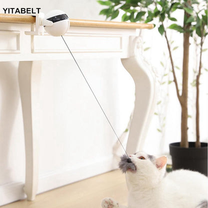 Funny Cat Electric Yo-Yo Lifting Ball Interactive Educational Toy