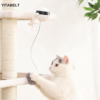 Funny Cat Electric Yo-Yo Lifting Ball Interactive Educational Toy
