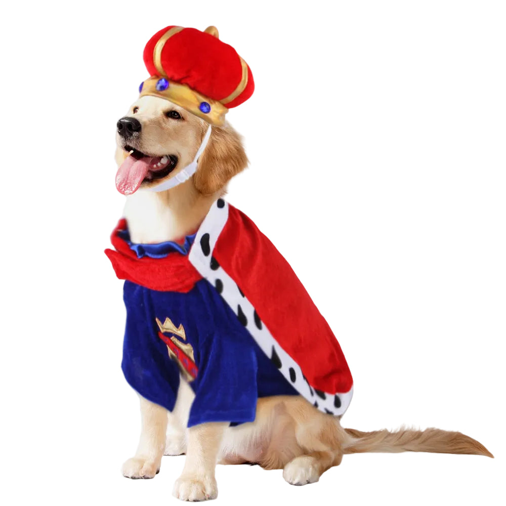 Cross-border Spot Pet King Cloak Accessories Set