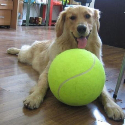 Big Signature Tennis 24cm Pet Toy