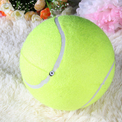 Big Signature Tennis 24cm Pet Toy
