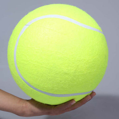 Big Signature Tennis 24cm Pet Toy